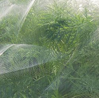 veggiemesh ultra fine image