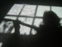 Shadow web