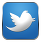 twitter silver