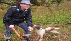 Truffles 2