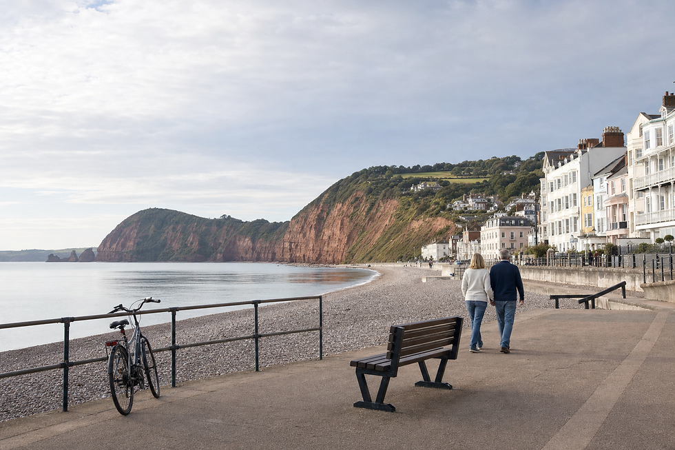 View of Sidmouth