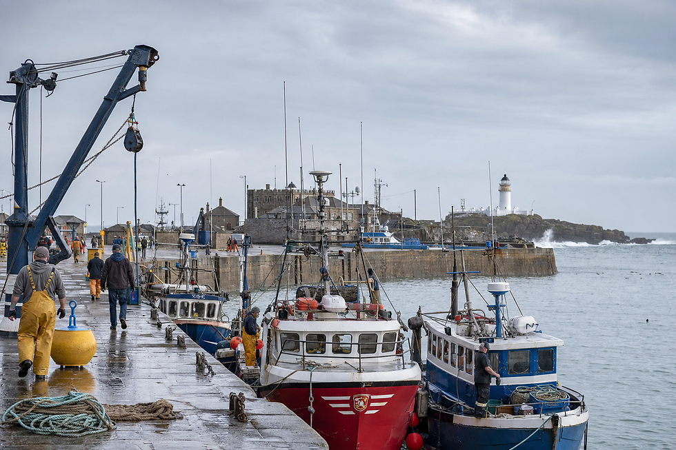 Fishing boats docked at a coastal harbour with a lighthouse in the distance and fishermen walking along the quay.