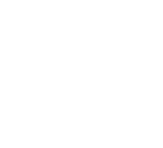 4608314211_237x215