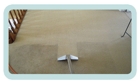 IPSWICH CARPET CLEANING