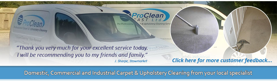 new proclean east ltd banner
