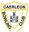 bowls badge small