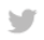 twitter-icon