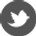 twitter-32