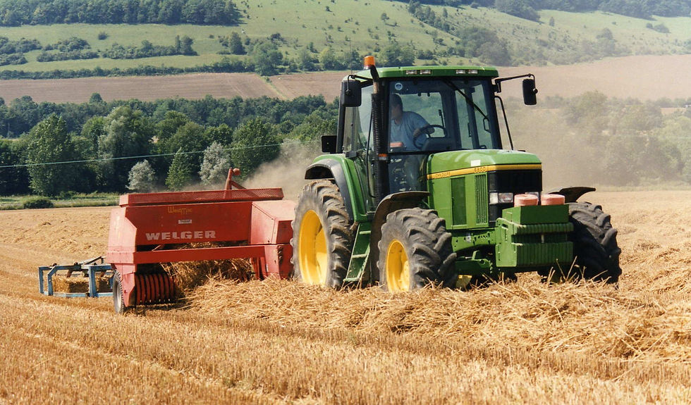 Harvest 03