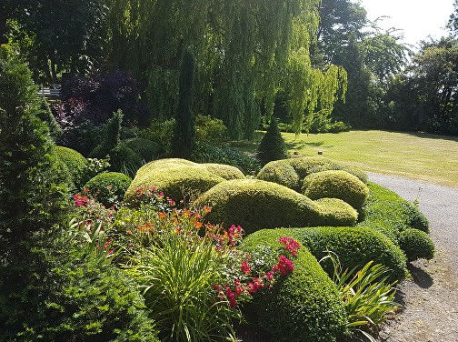 topiary garden with roses