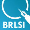 brlsi_logo