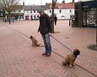 visiting town