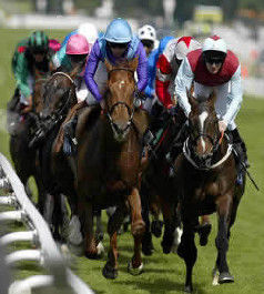 horse-racing7