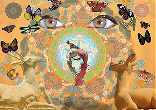 Screen Shot 2019-02-15 at 17.51.09