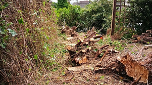 Site and garden clearance services