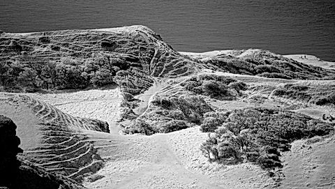 720nm IR Sony A7RIV in Crop Mode with Sony E 70-350mm Lens.jpg