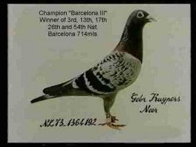 Champion Barcelona 3