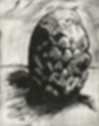 'Cherimoya', etching, 29 x 23 cms, £90 unframed.