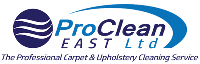 PROCLEAN-LOGO-TRIMMED
