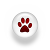 North Derby Dog Walking, Cat Sitting and Pet Sitting