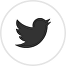 Twitter Logo