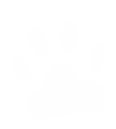 paw