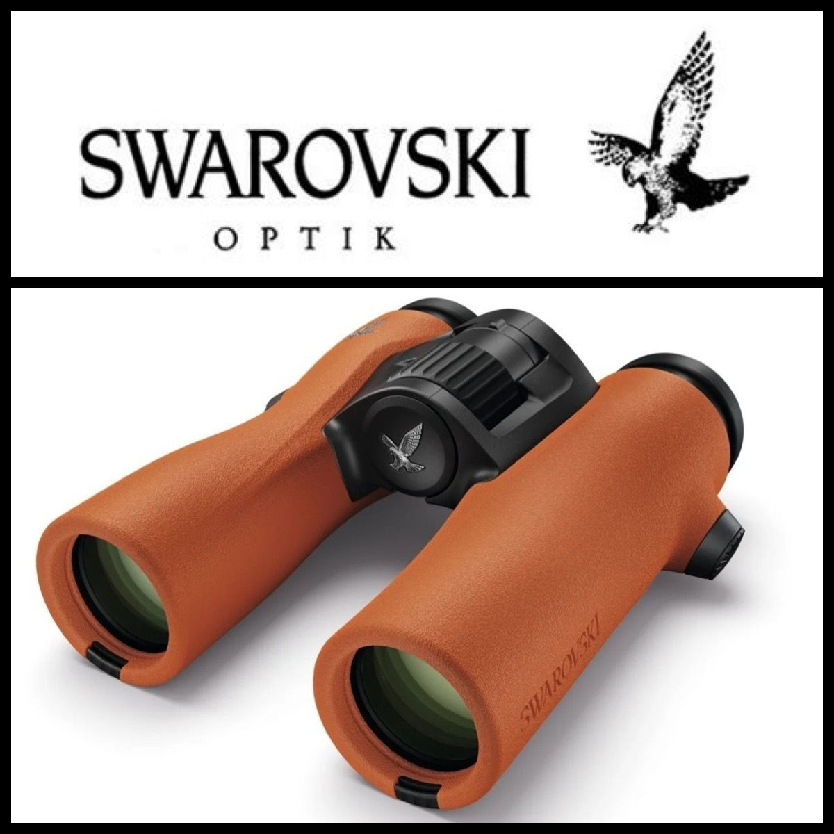 NL Pure burnt Orange 8 x 32