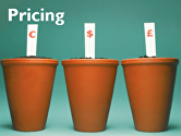 RK43r01ws Pricing consultancy strategy profit grow