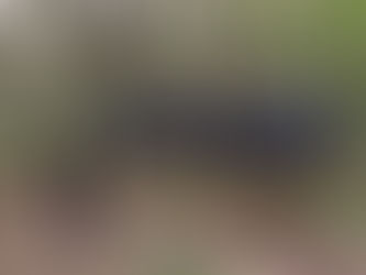 What does Forest School involve?