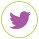 Twitter-icon
