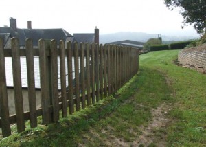 Pale Fencing Panels