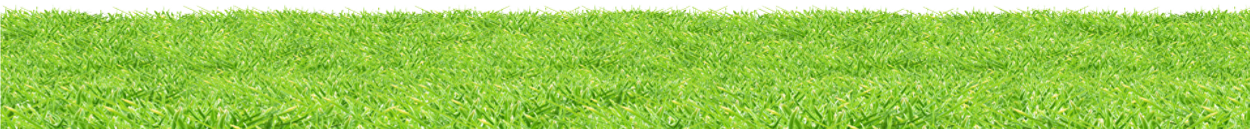 ag footer ag proper