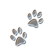 SilverPawPrints