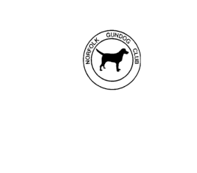 NGC Logo
