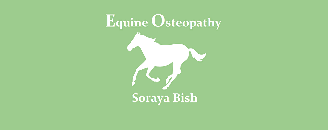 logo test