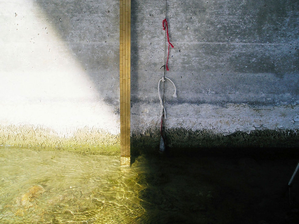 drome newest (76)web