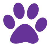 All-About-Rescue-Paw