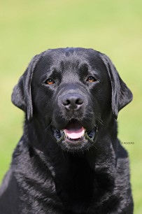 2021 08 04_9747_naiken east meets west web