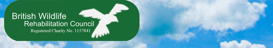 cloudslogo