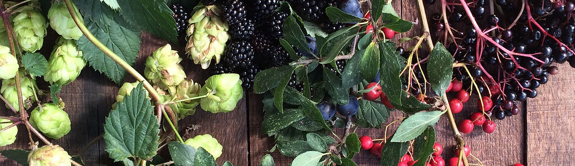 autumn foraged foods, for healthy nutritional natural living. Wholefoods, fruit and vegetables created into simple