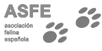 logo-asfe grey