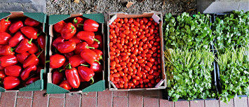 fresh-coriander-red-peppers-cherry-tomatoes-tempeh