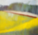 Rape-Fields-and-trackMM