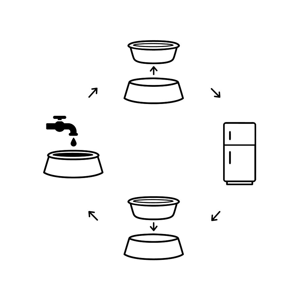 Thumbnail: Ice Bowl - Pet Cooling Water Bowl