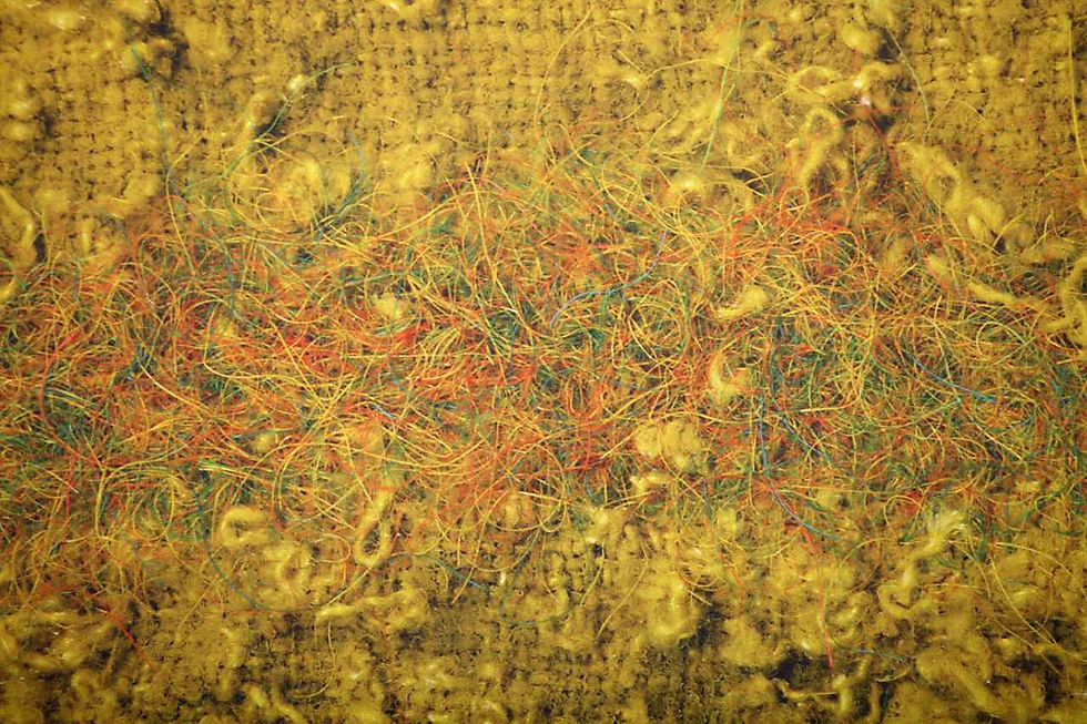Lichen Macro Digital closeup -4803