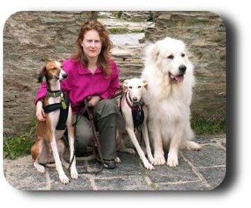 Vera Marney with Saluki, Lurcher and Pyrenean Mountain Dog