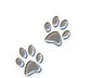 SilverPawPrints