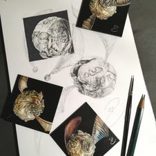Image of sketchbook drawing page of Golden Sprouts with three small paintings on top