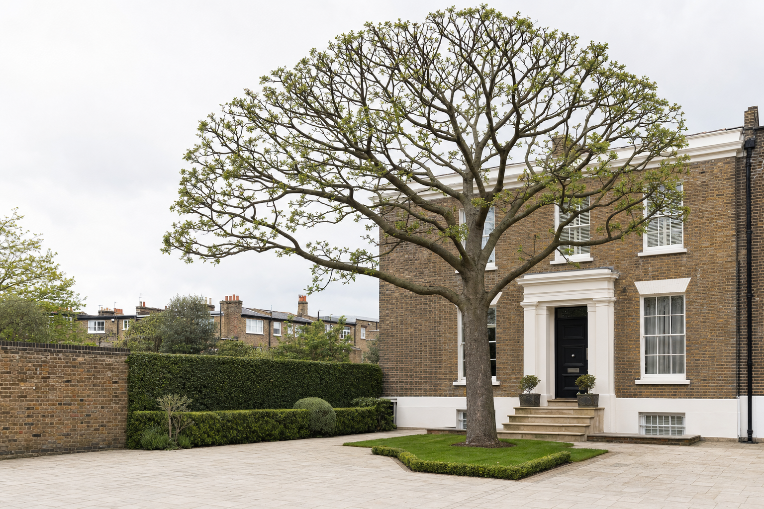 A large tree with sparse leaves stands in front of a classic brick house with white trim and a well-kept garden.