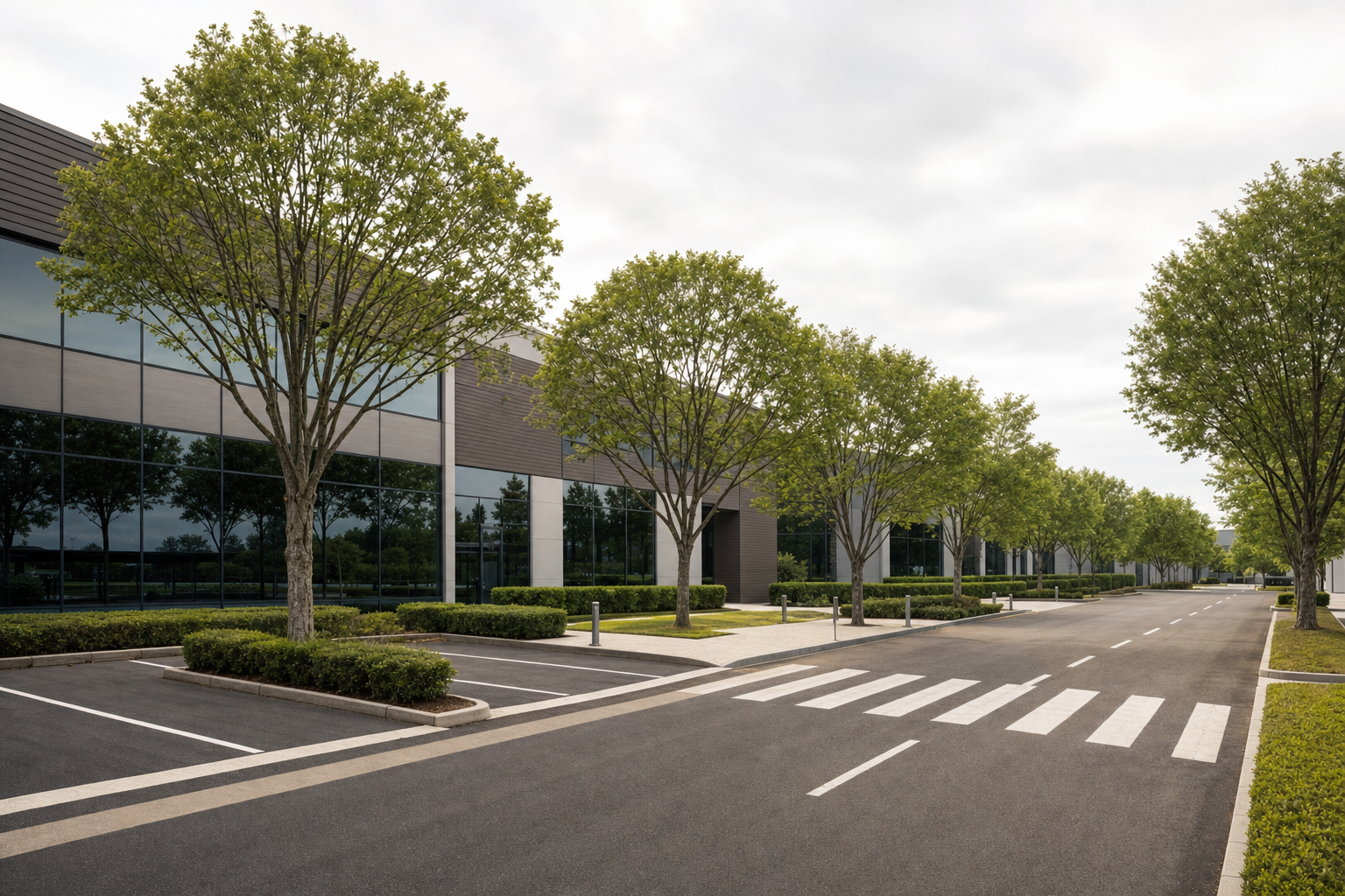 Modern office building with large windows, surrounded by neatly lined trees and an empty car park.